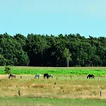 Vendégház Wolfshotel Am Arendsee