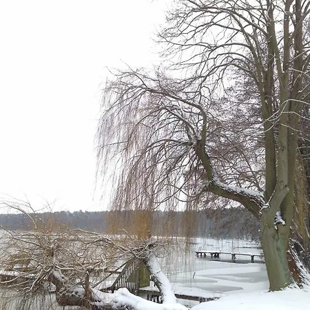 Wolfshotel Am Arendsee Pensjonat
