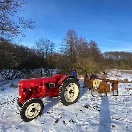 Wolfshotel Am 게스트하우스 아렌트제