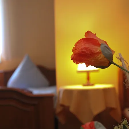 게스트하우스 Wolfshotel Am