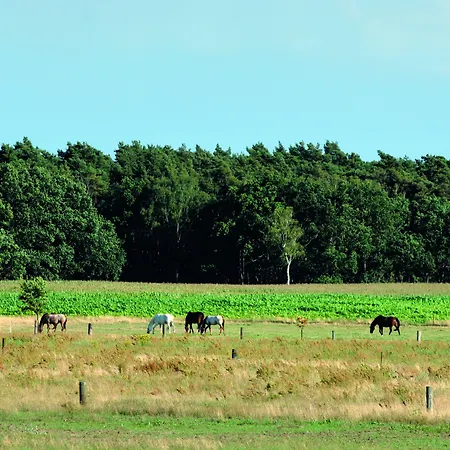 Pensjonat Wolfshotel Am Arendsee (Altmarkkreis Salzwedel)
