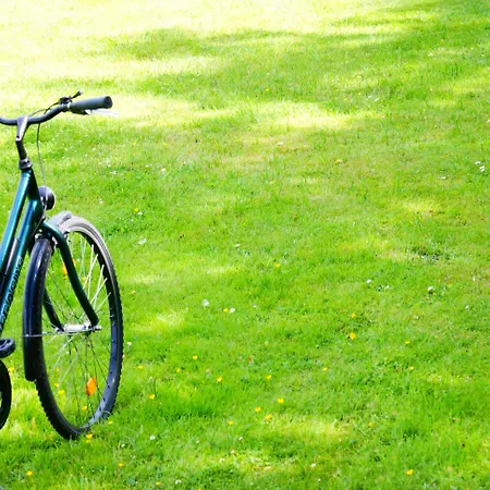 Wolfshotel Am 아렌트제