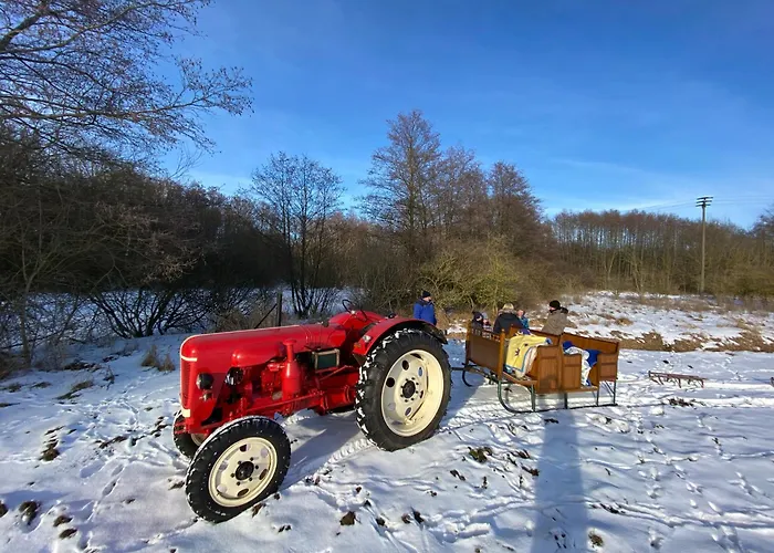 Wolfshotel Am Pensionat Arendsee (Altmarkkreis Salzwedel)