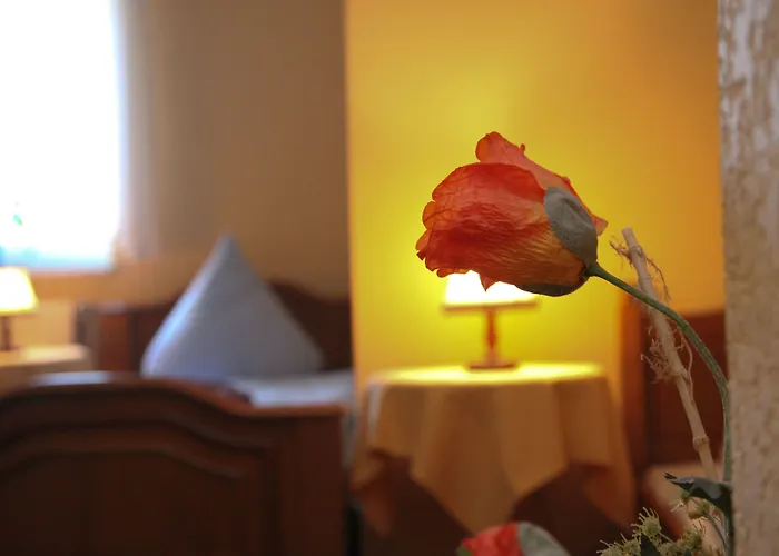 Pensionat Wolfshotel Am