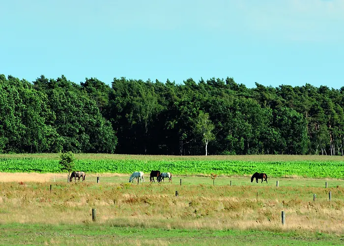 Penzion Wolfshotel Am Arendsee (Altmarkkreis Salzwedel)